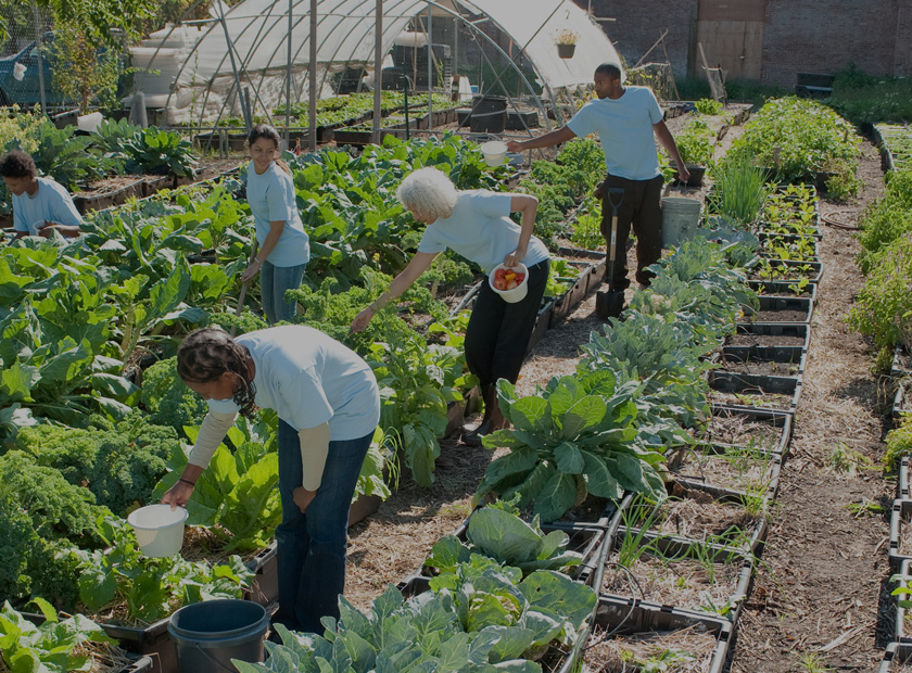 Relation Insurance Solutions for Life &amp; Business Challenges