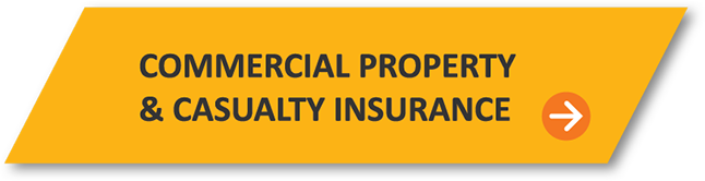 Commercial Property & Casualty Insurance