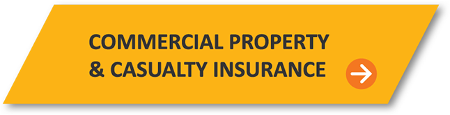 Commercial Property & Casualty Insurance