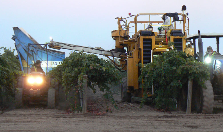 Ascension Senior Loss-Control Consultant Dan Castillo Shares Harvest Safety Expertise in “Wines & Vines” Magazine